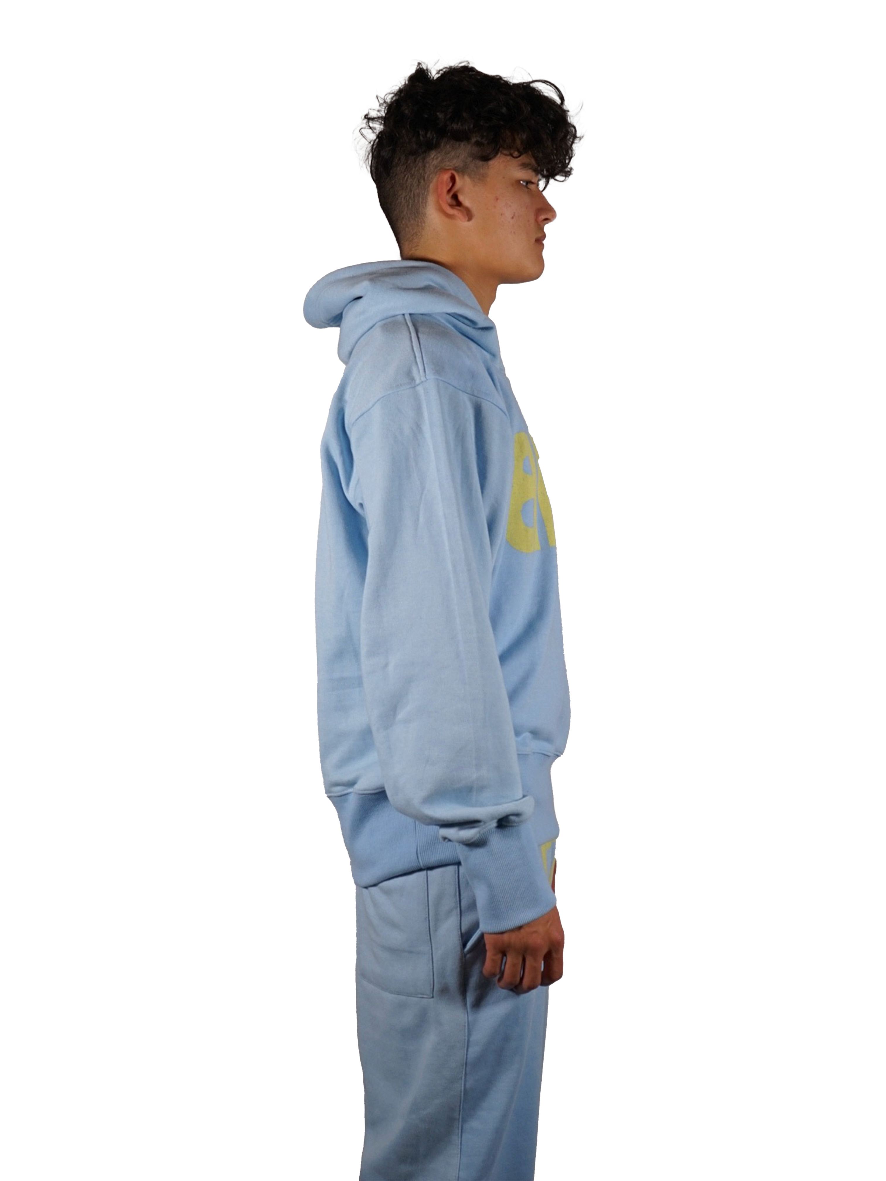 SKY BITCH HOODIE